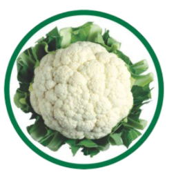 Cauliflower