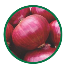 Onion