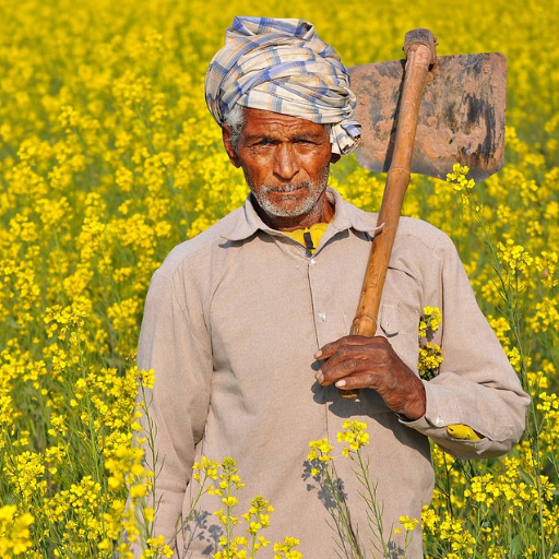 Vikram Desai